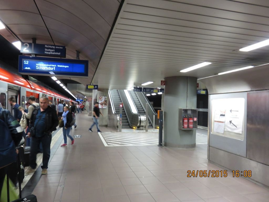 IMG_4225.jpg