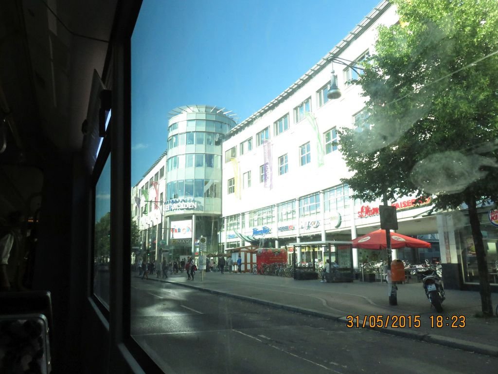 IMG_5833.jpg