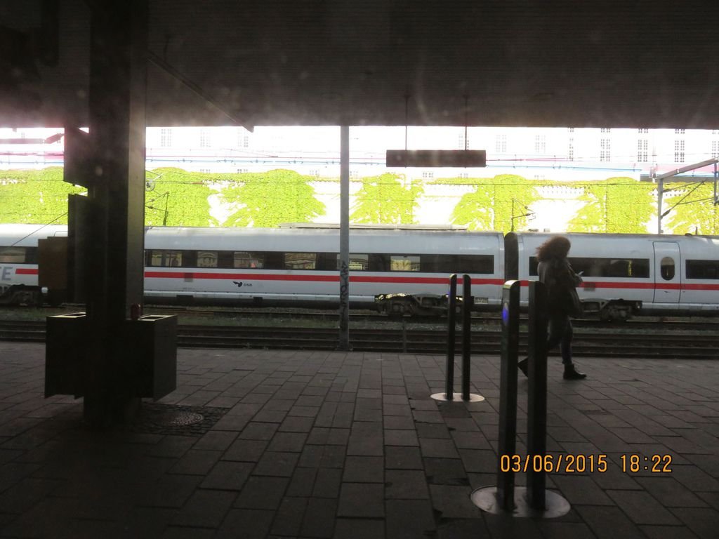 IMG_7001.jpg