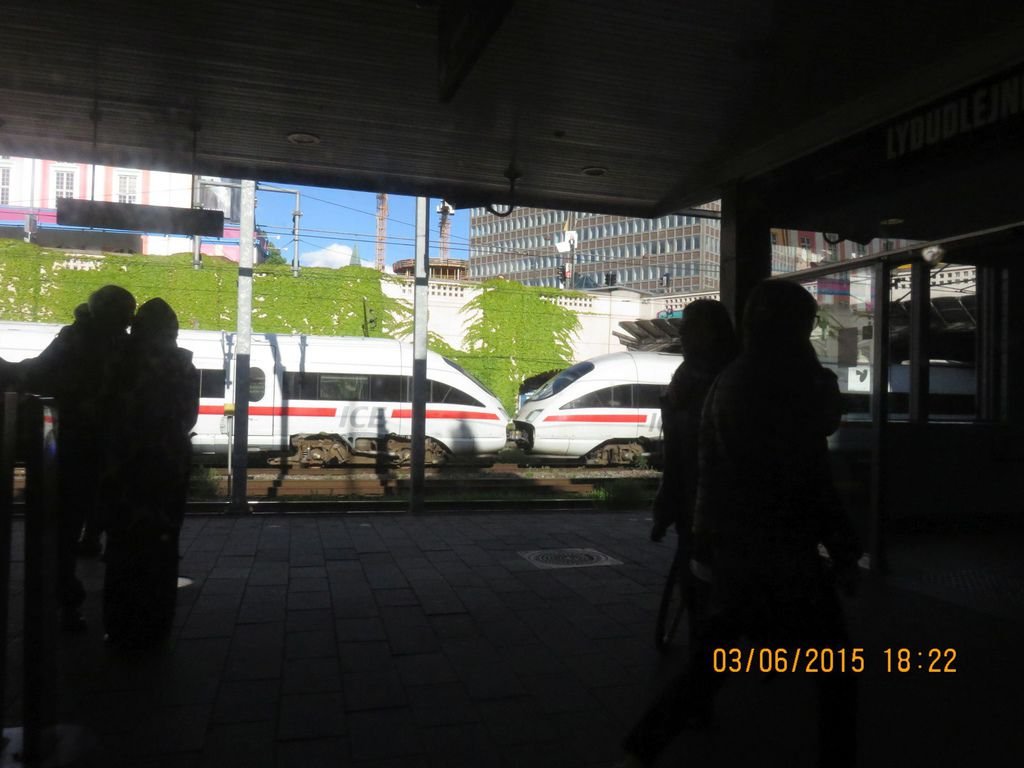 IMG_7002.jpg