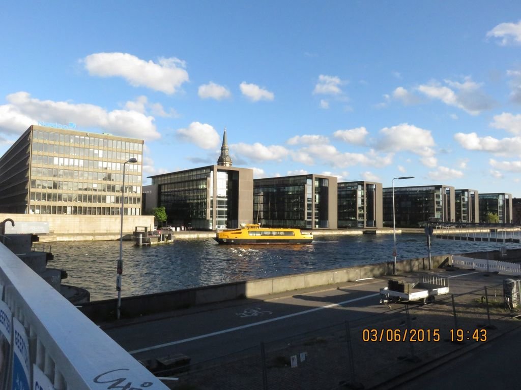 IMG_7021.jpg