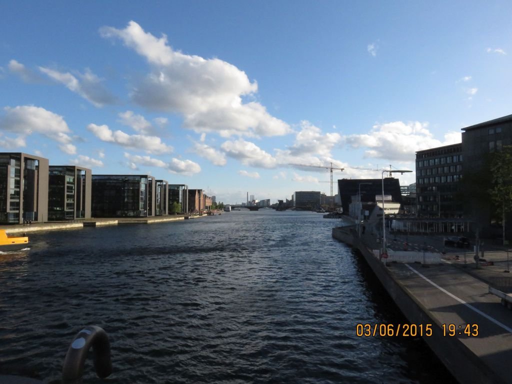 IMG_7022.jpg