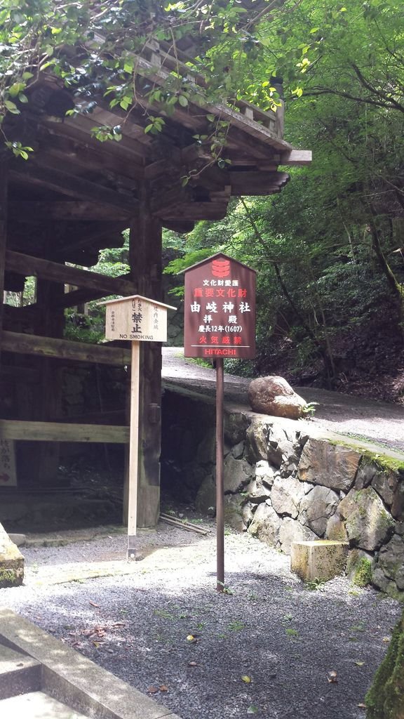 20150622_124841.jpg