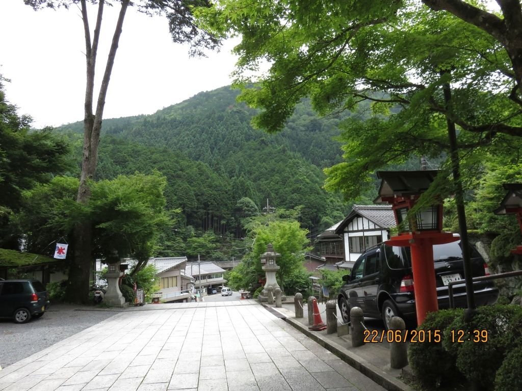 IMG_8831.jpg