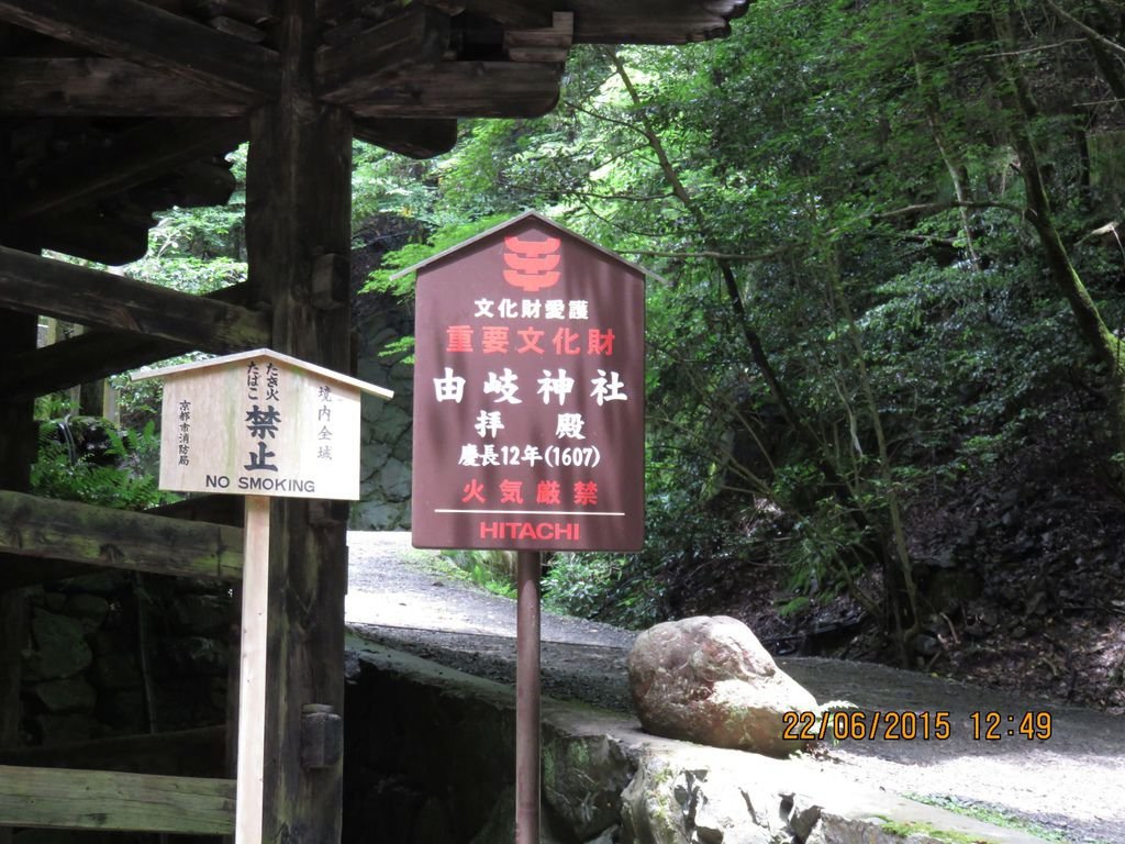 IMG_8846.jpg