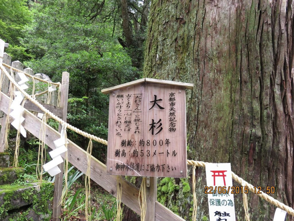 IMG_8854.jpg
