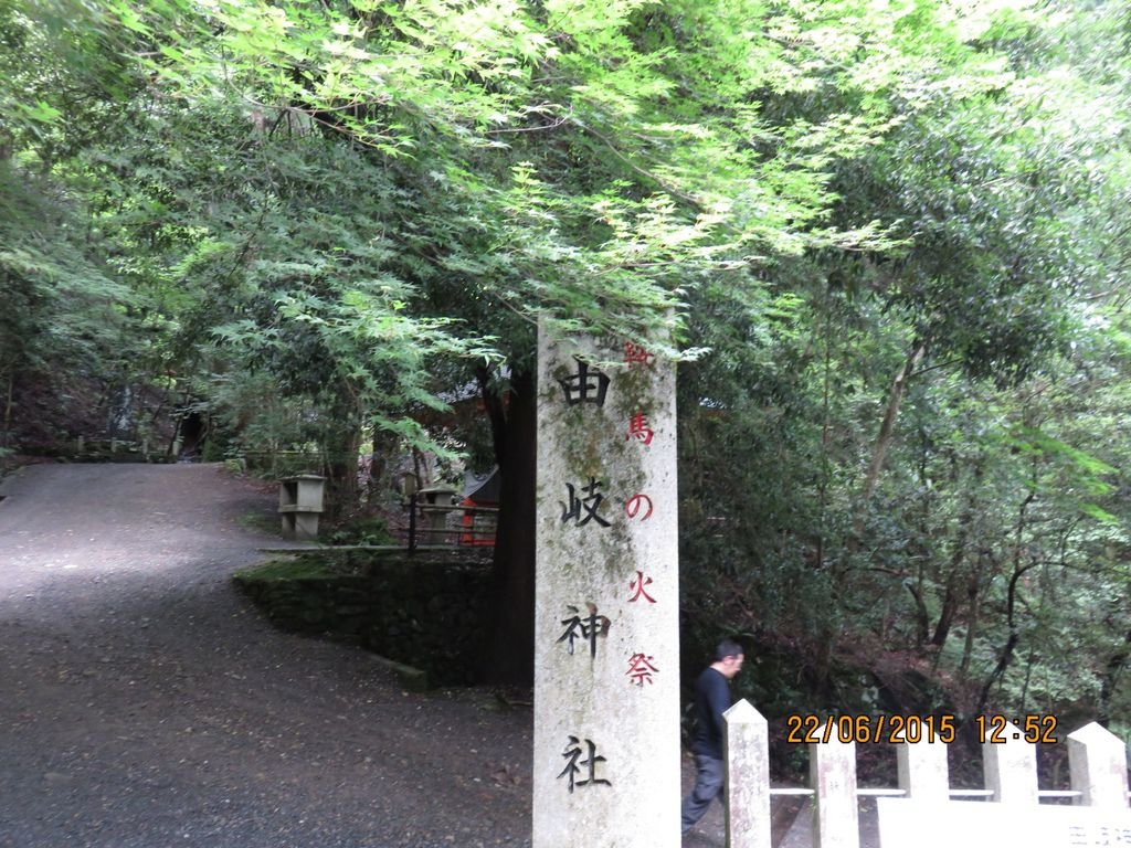 IMG_8861.jpg