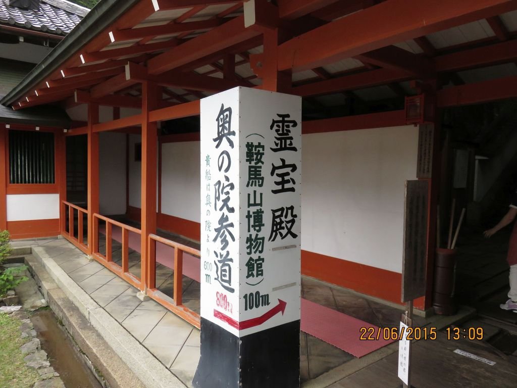 IMG_8894.jpg