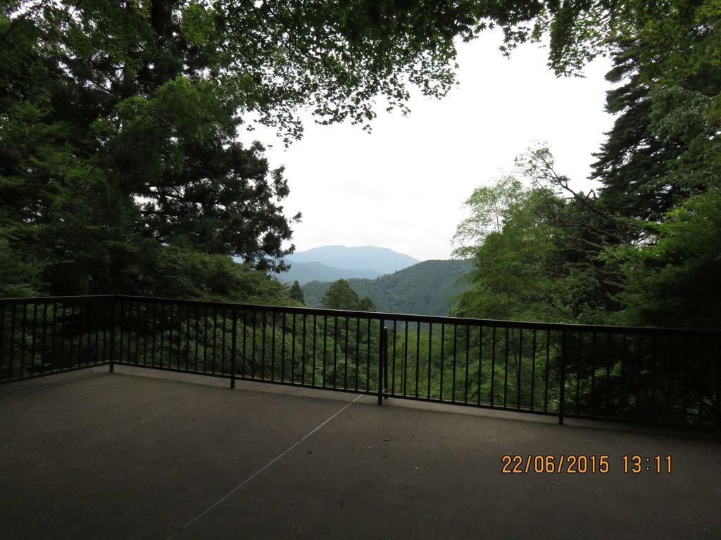 IMG_8899.jpg