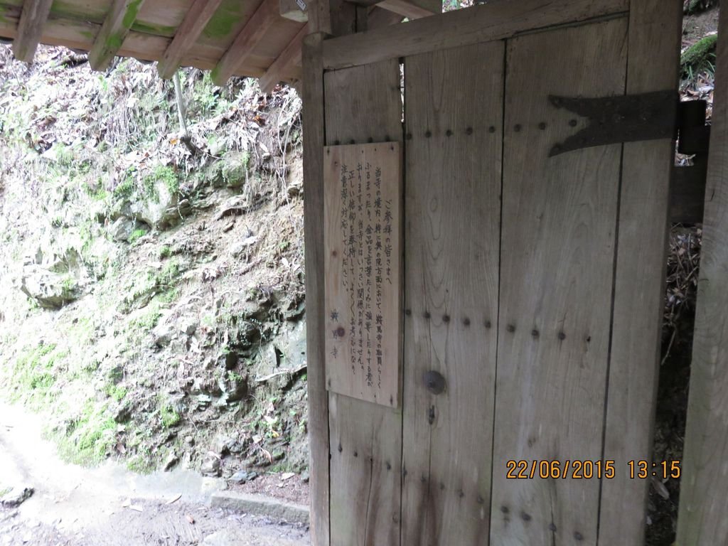 IMG_8903.jpg