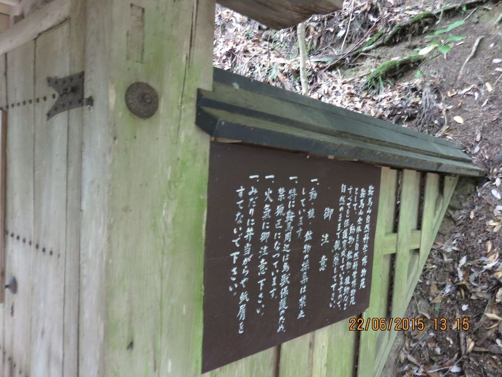 IMG_8904.jpg