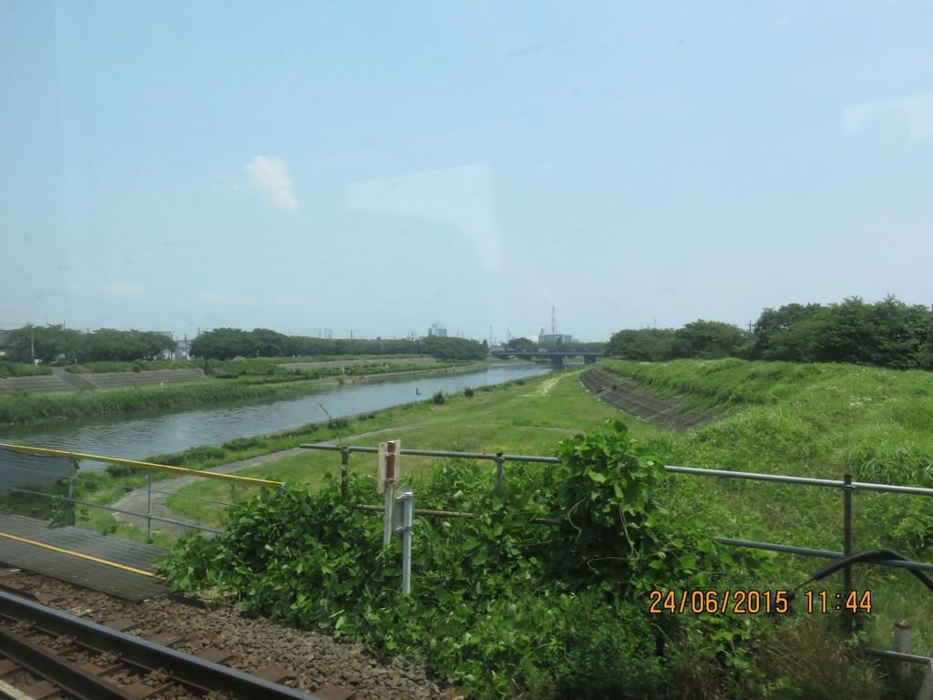 IMG_9504.jpg