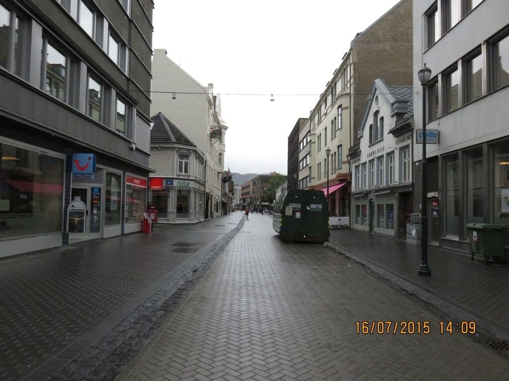 IMG_1273.jpg