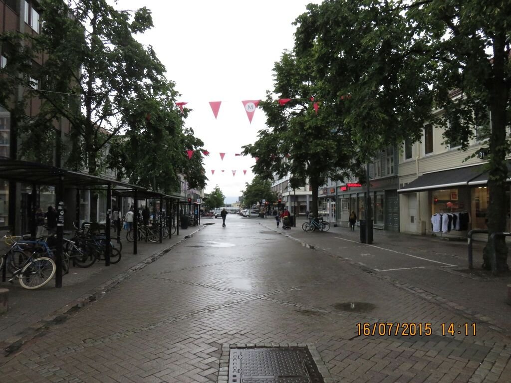 IMG_1275.jpg