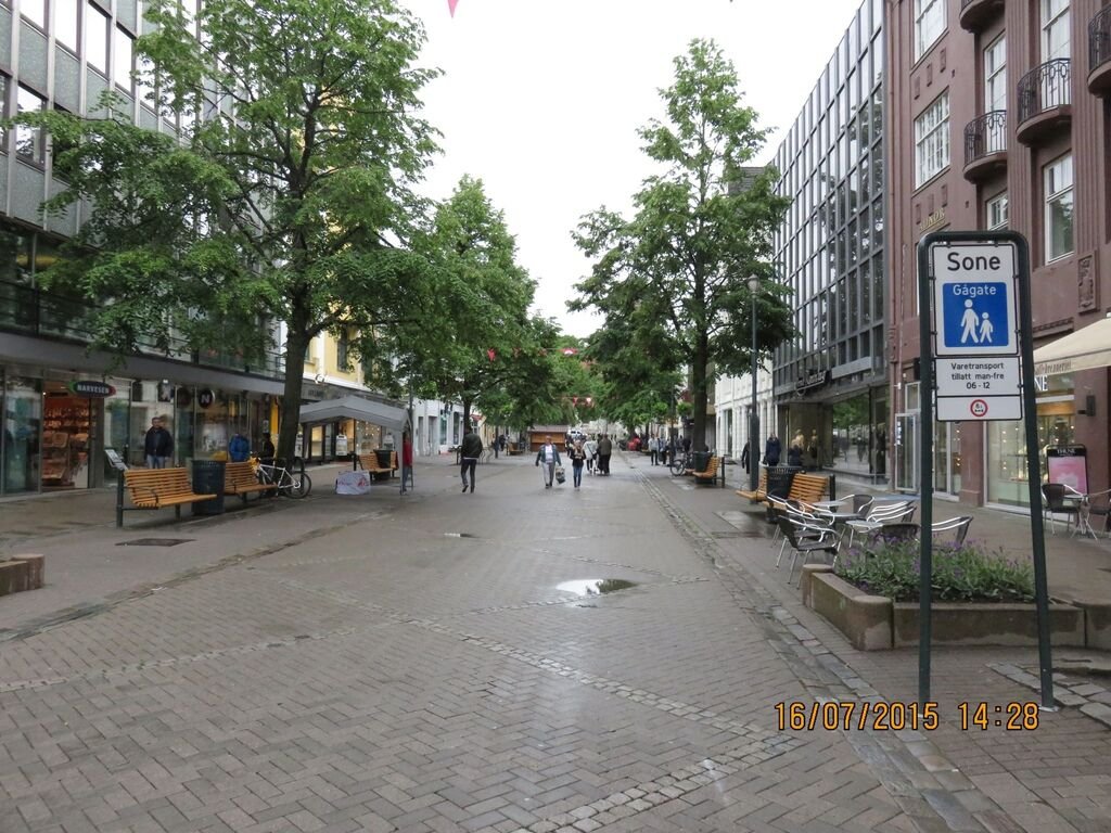 IMG_1282.jpg