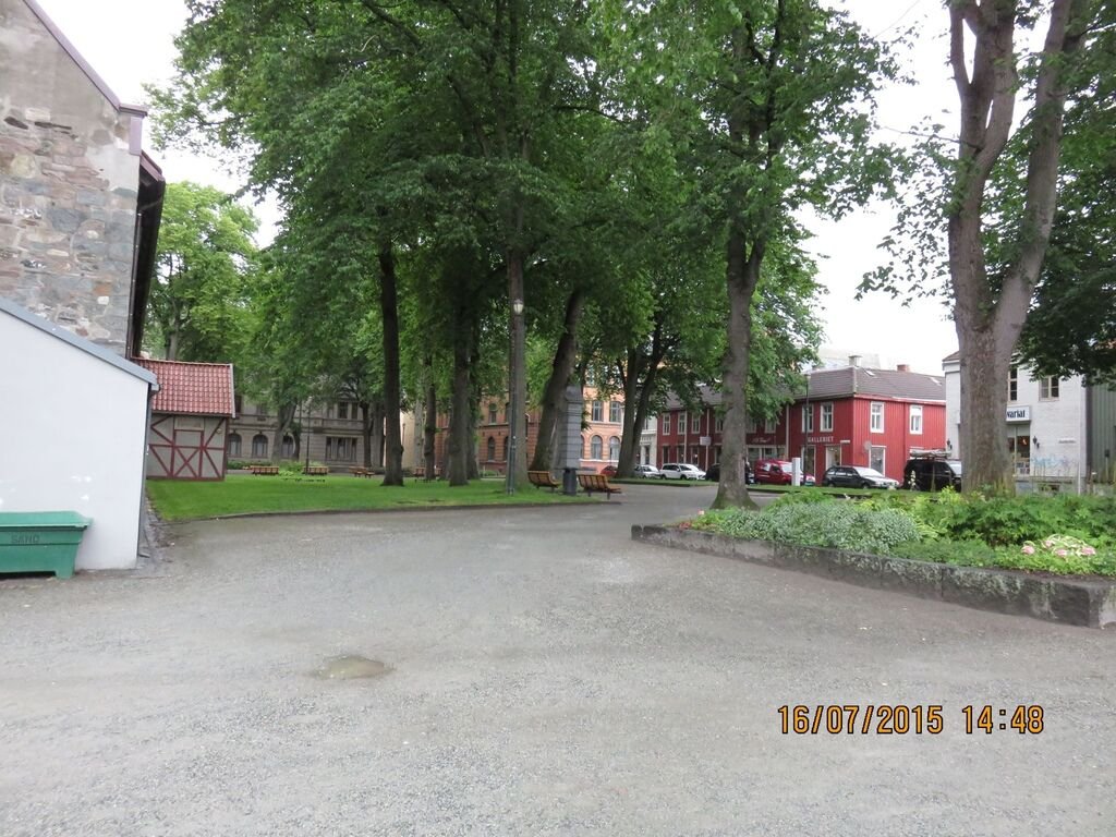 IMG_1290.jpg