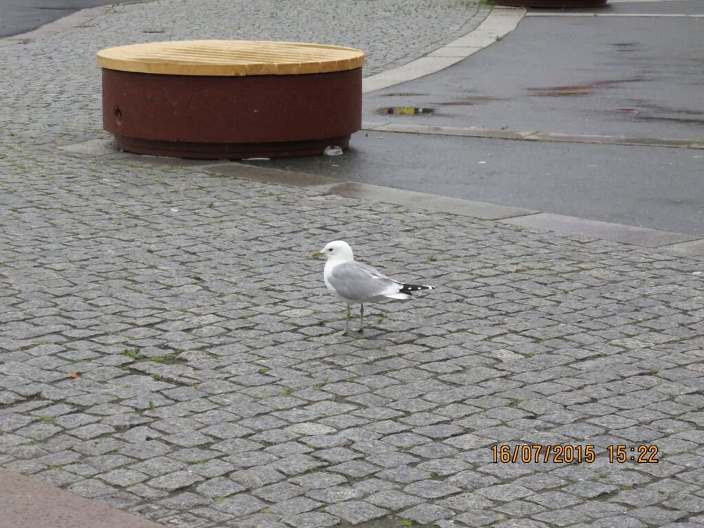 IMG_1311.jpg