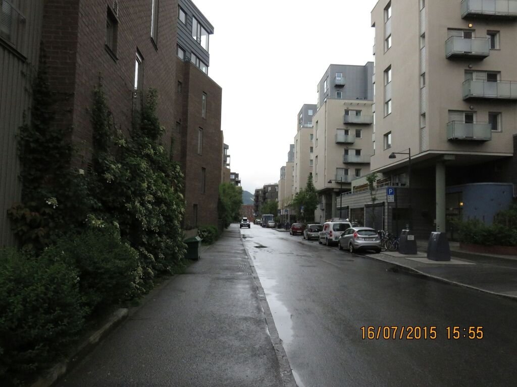IMG_1330.jpg
