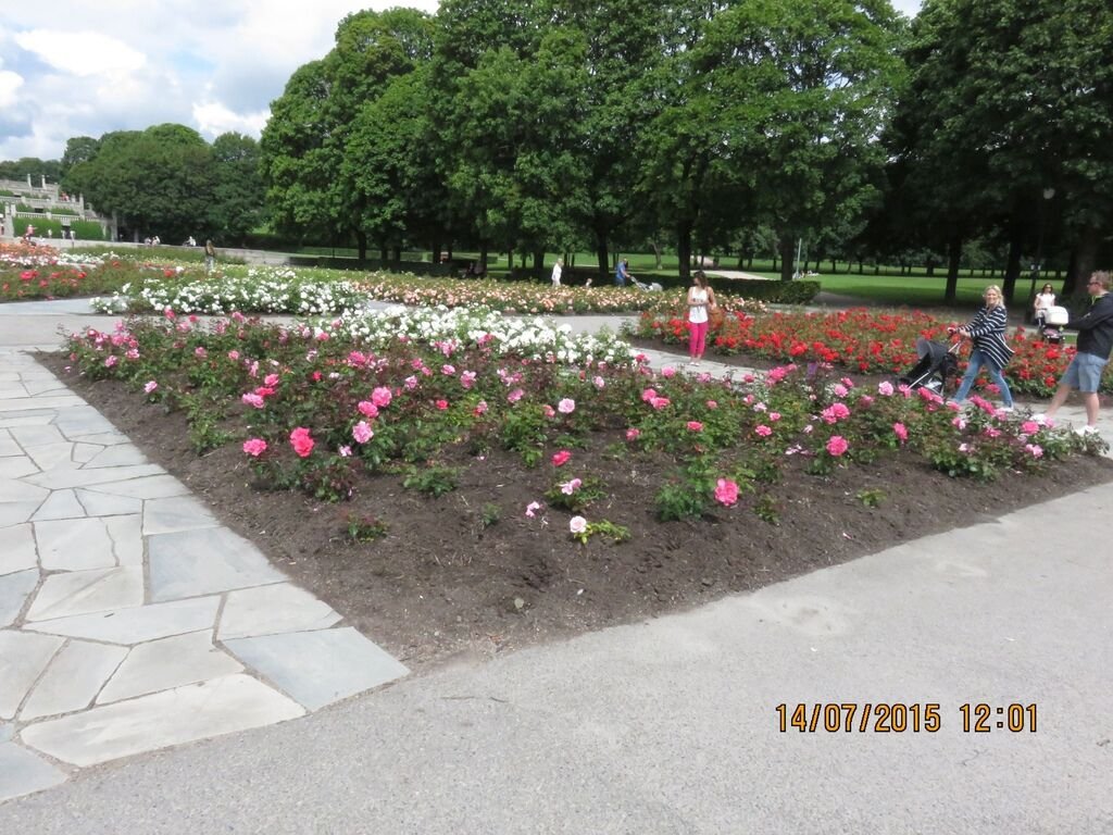IMG_0729.jpg