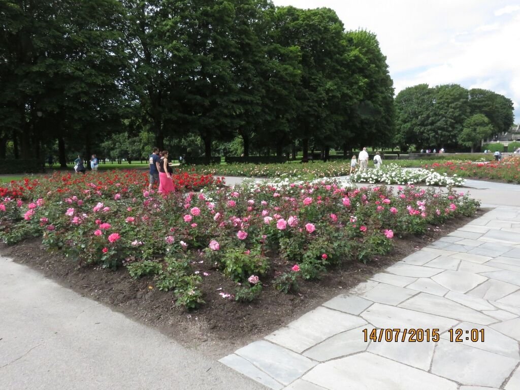 IMG_0730.jpg