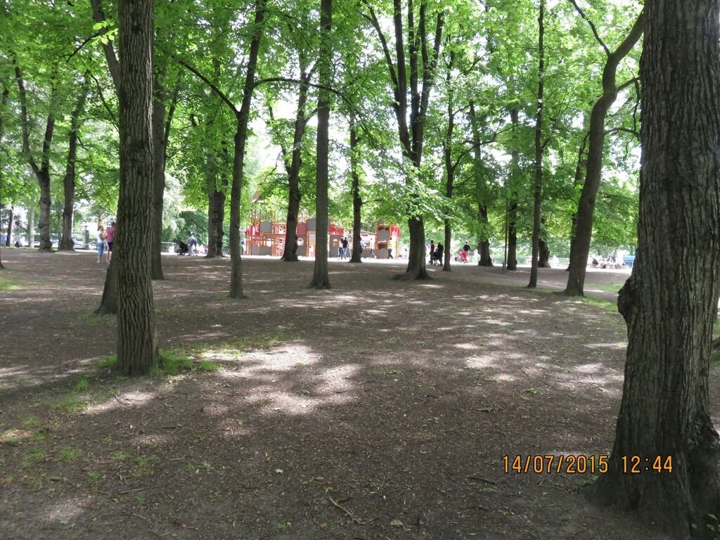 IMG_0757.jpg