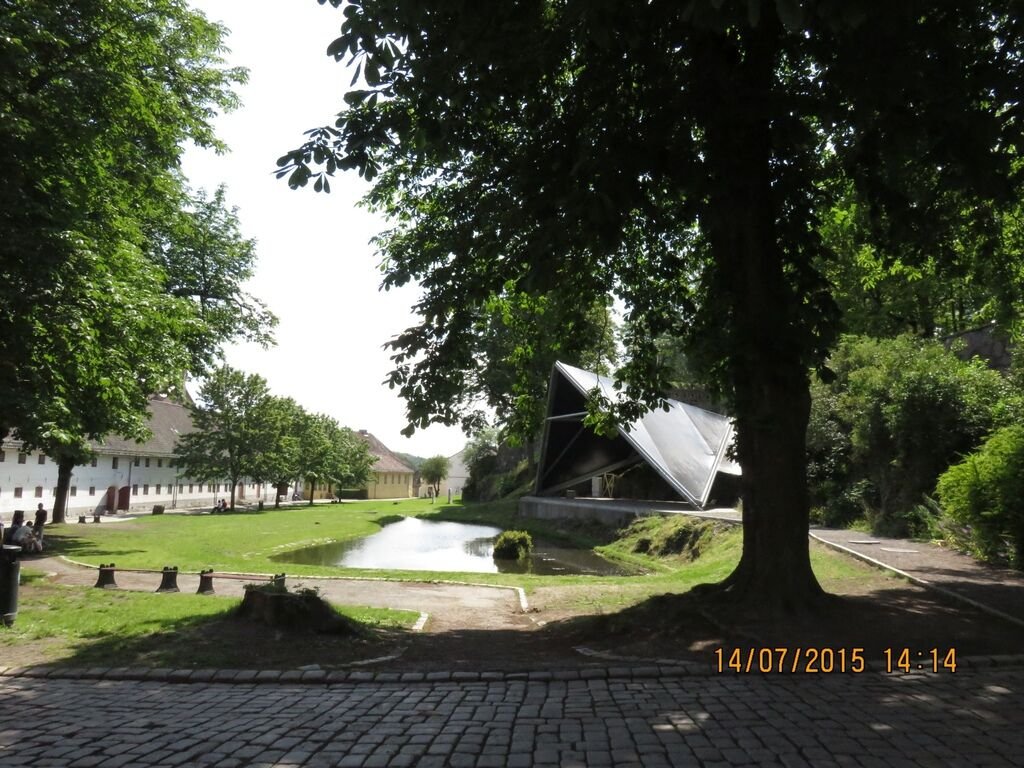 IMG_0820.jpg