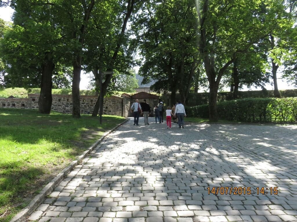 IMG_0823.jpg