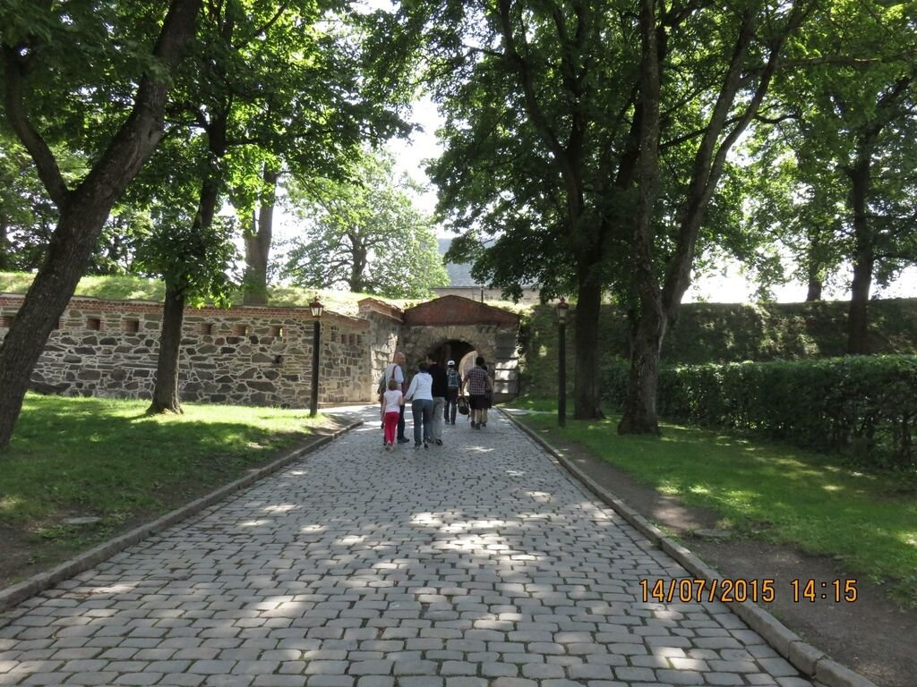 IMG_0825.jpg