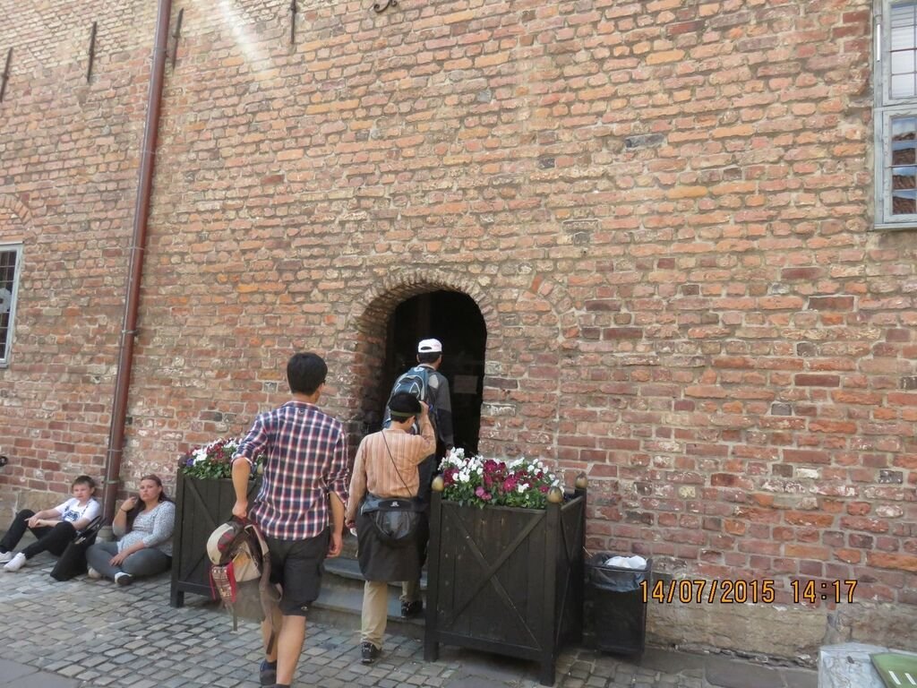 IMG_0831.jpg