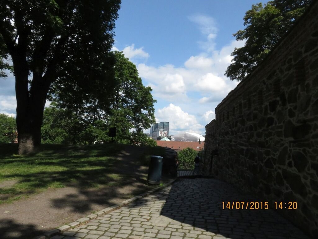 IMG_0841.jpg