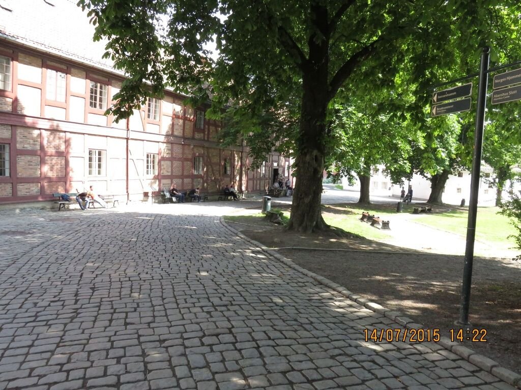 IMG_0842.jpg