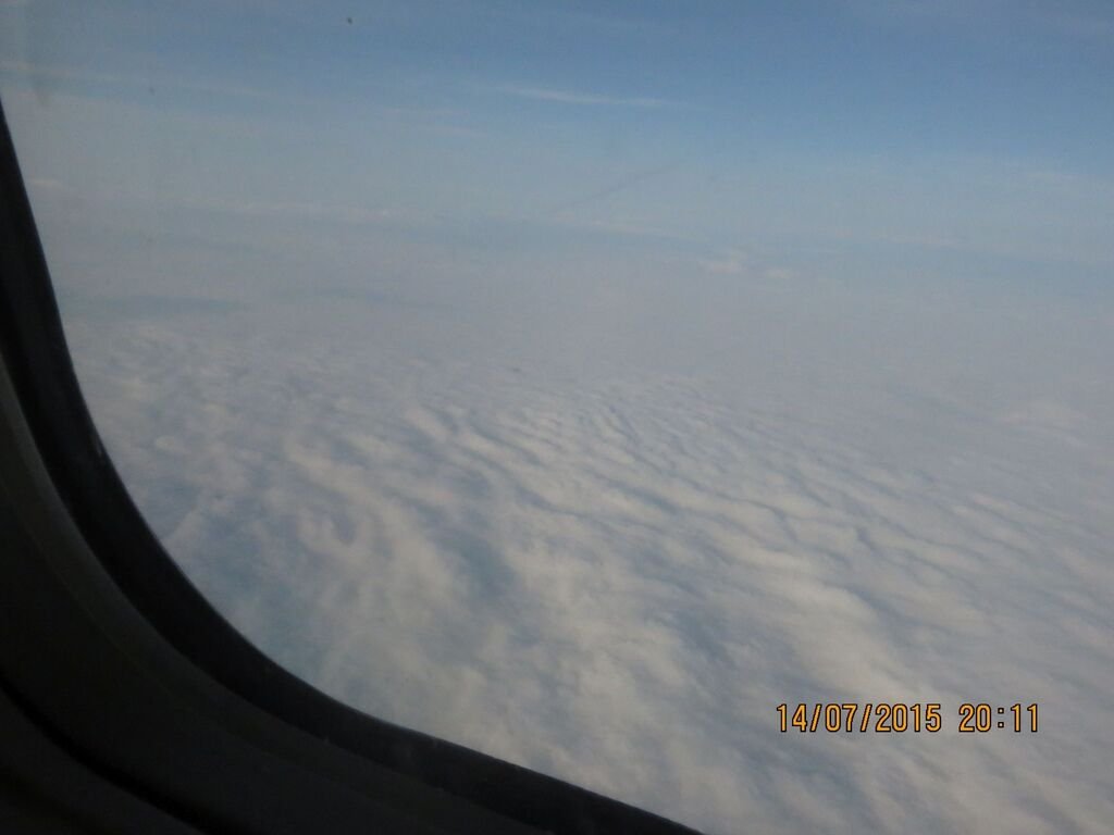IMG_1100.jpg