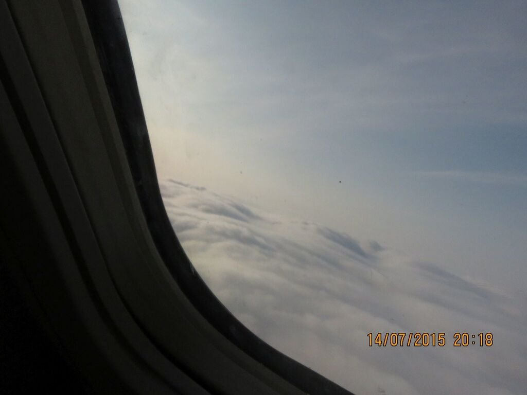 IMG_1105.jpg