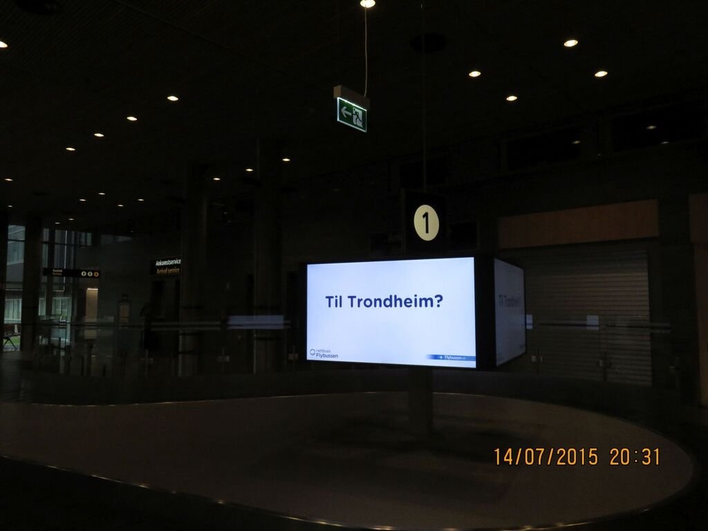IMG_1141.jpg