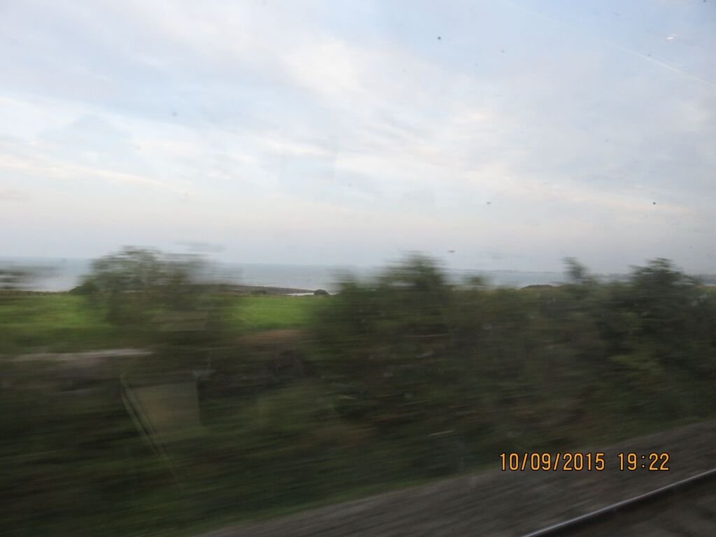 IMG_4847.jpg