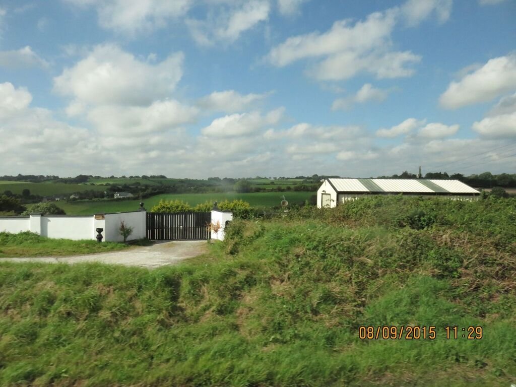 IMG_3667.jpg