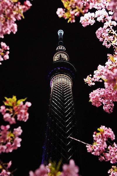 東京晴空塔Skytree