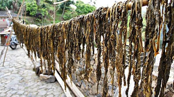 福建南靖土樓(四菜一湯