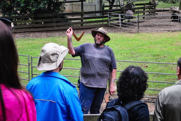 律律-Koala Park Sanctuary05