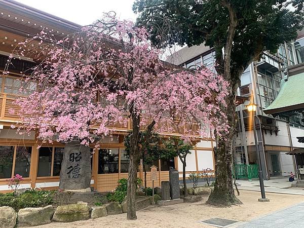 [日本][九州][福岡][景點] 櫛田神社 | 福岡景點 |