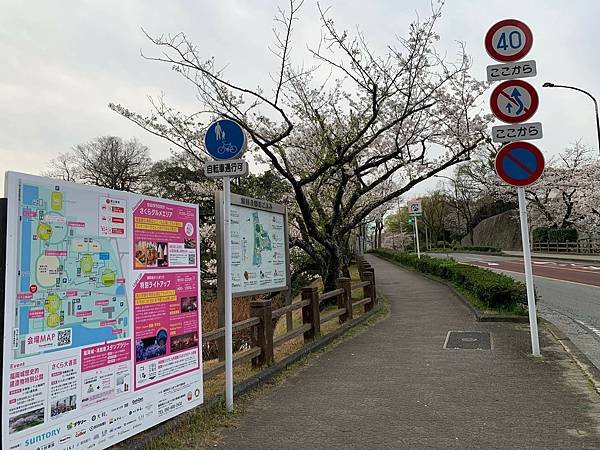 [日本][九州][福岡][景點] 舞鶴公園櫻花季 | 福岡賞