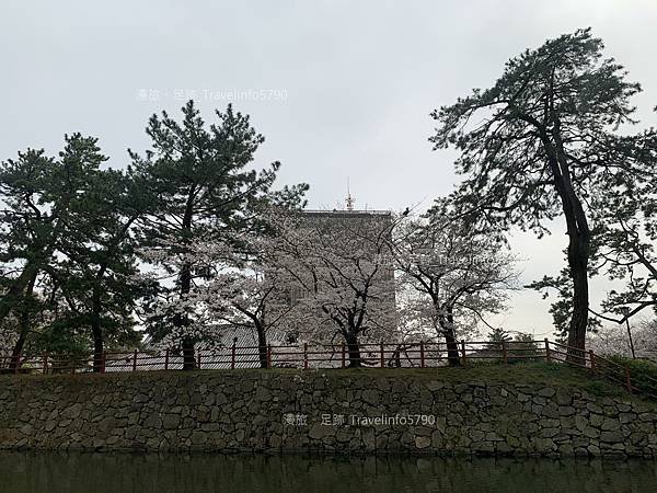 [日本][九州][福岡][景點] 小倉一日遊 | 小倉城櫻花