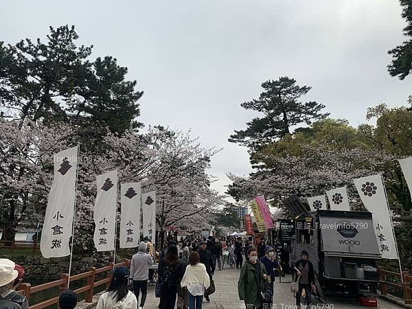 [日本][九州][福岡][景點] 小倉一日遊 | 小倉城櫻花