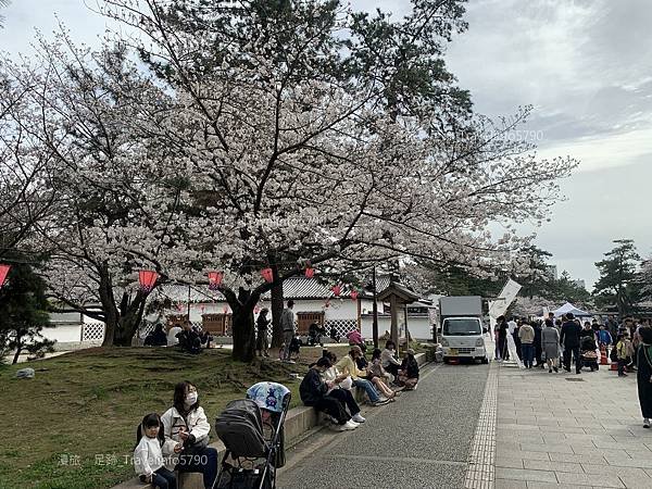 [日本][九州][福岡][景點] 小倉一日遊 | 小倉城櫻花