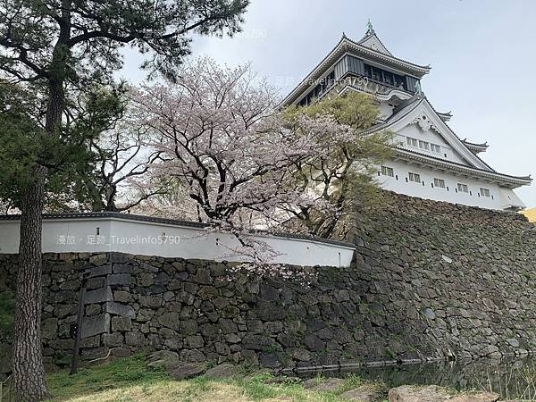 [日本][九州][福岡][景點] 小倉一日遊 | 小倉城櫻花