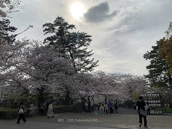 [日本][九州][福岡][景點] 小倉一日遊 | 小倉城櫻花