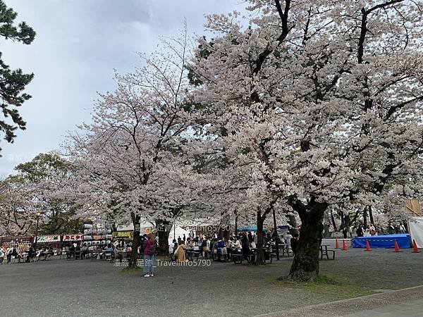 [日本][九州][福岡][景點] 小倉一日遊 | 小倉城櫻花