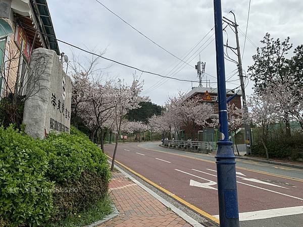 [南韓][釜山][景點] 海東龍宮寺 | 韓國最美的寺廟 |