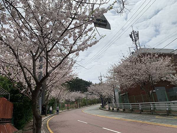 [南韓][釜山][景點] 海東龍宮寺 | 韓國最美的寺廟 |