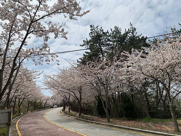 [南韓][釜山][景點] 海東龍宮寺 | 韓國最美的寺廟 |